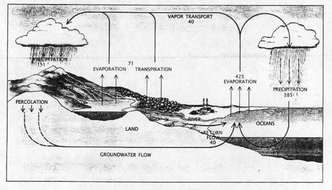 BP333fig1-E.jpg (35216 bytes)